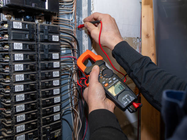 Best Electrical System Inspection  in Dana, NC